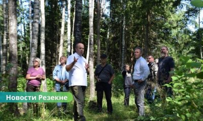 Резекненский край претендует на титул «Самый ухоженный лес 2025».