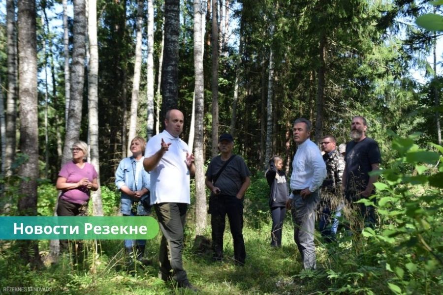 Резекненский край претендует на титул «Самый ухоженный лес 2025».