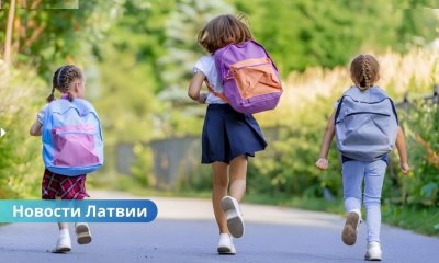 Как защитить вашего ребенка: все о безопасной дороге в школу и общественном транспорте.