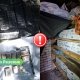 В Резекненском крае полиция обнаружила около 100 кг наркотиков и контрабандные сигареты.