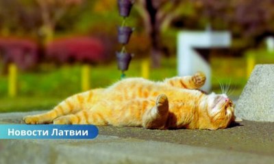 Завтра в Латвии потеплеет: кратковременные дожди в Риге, сухо в Даугавпилсе и Резекне.