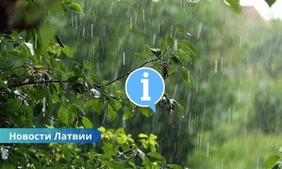 Дождливое лето: что происходит с природой Латвии в этом году.