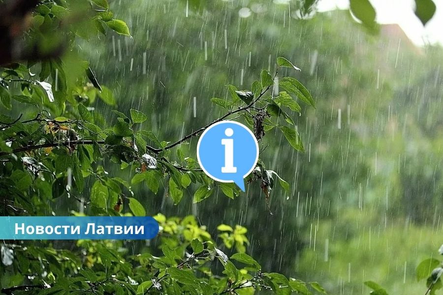 Дождливое лето: что происходит с природой Латвии в этом году.
