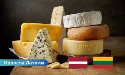 Vilvi Group Бауска, сыроварня Латвия, рынок молока Латвия, экспорт сыра, производство молока Латвия, новые заводы Балтии, инвестиции в молочную отрасль, конкуренция за молоко. Литовская Vilvi Group строит сыроварню в Бауске: рынок молока в Латвии ждут перемены.