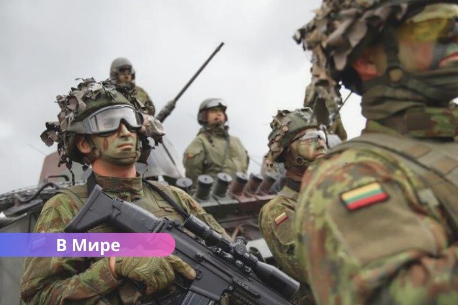 Литва миротворцы Украина, гарантия безопасности Украине, Зеленский Вашингтон, поддержка Украины НАТО, война в Украине, Дональд Трамп Украина. Литва готова направить миротворцев в Украину — детали обсуждаются.