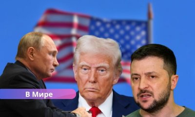 Трамп анонсировал возможную встречу Зеленского и Путина — названо место переговоров.