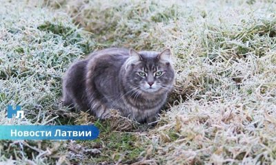 Похолодание и первые заморозки: прогноз погоды на следующую неделю.