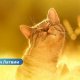 ☀Вторник в Латвии будет по летнему теплым.
