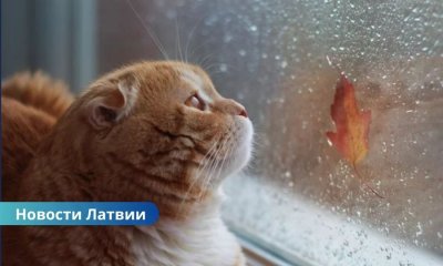 🌦️Прогноз погоды 4 сентября: синоптики предупреждают о грозах в Латгалии и солнечном дне в Риге.