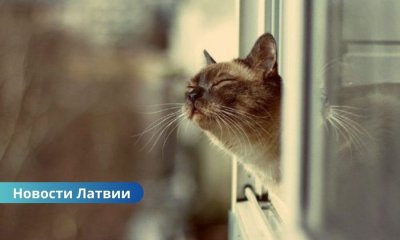 Жара и грозы: какой будет погода в субботу.