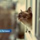 Жара и грозы: какой будет погода в субботу.