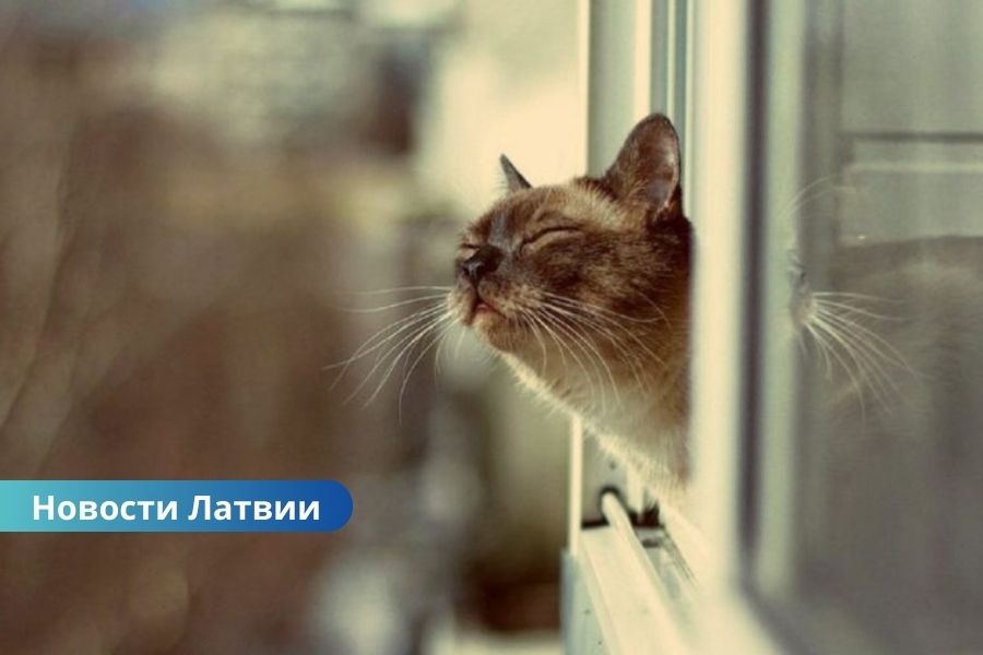 Жара и грозы: какой будет погода в субботу.