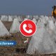 В Латвии заработал информационный телефон о противомобильности: что нужно знать жителям?