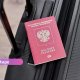 Еврокомиссия готовит новые визовые ограничения для россиян: обсуждается ужесточение правил выдачи туристических виз.