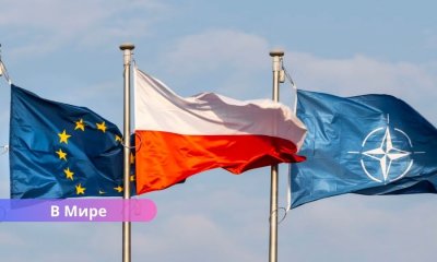 НАТО задействовало статью 4 после вторжения российских дронов в Польшу.
