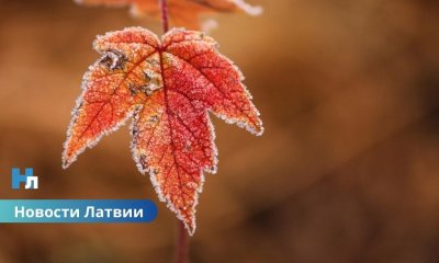Синоптики предупреждают: в Латвии — местами ночные заморозки и ливни с грозами.