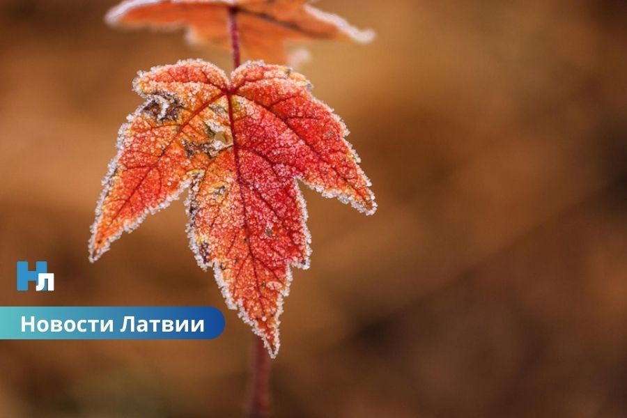 Синоптики предупреждают: в Латвии — местами ночные заморозки и ливни с грозами.