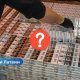 Как люди относятся к покупке контрабанды: исследование SKDS