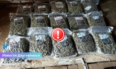 В Даугавпилсе задержаны двое мужчин: изъято 36 кг марихуаны и 62 000 евро наличными.