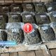 В Даугавпилсе задержаны двое мужчин: изъято 36 кг марихуаны и 62 000 евро наличными.
