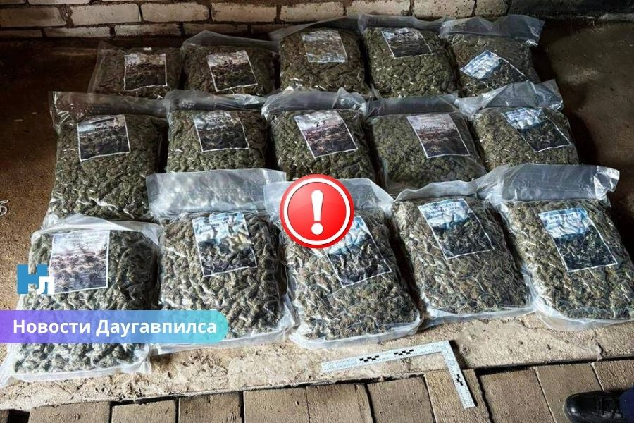 В Даугавпилсе задержаны двое мужчин: изъято 36 кг марихуаны и 62 000 евро наличными.