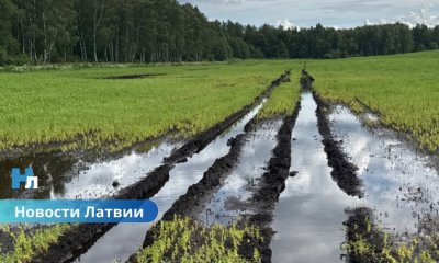 ЕС выделяет 4,2 миллиона евро помощи латвийским фермерам, пострадавшим от непогоды.