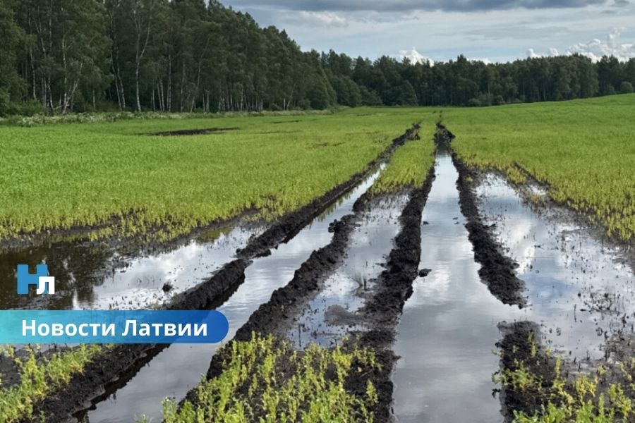 ЕС выделяет 4,2 миллиона евро помощи латвийским фермерам, пострадавшим от непогоды.