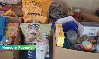 В Резекне прошла акция «Согреем маленькие лапки!» в поддержку приюта для животных.