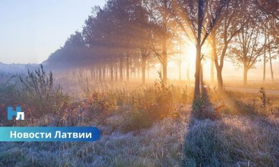 В Латвии ожидаются заморозки: синоптики предупреждают о похолодании.