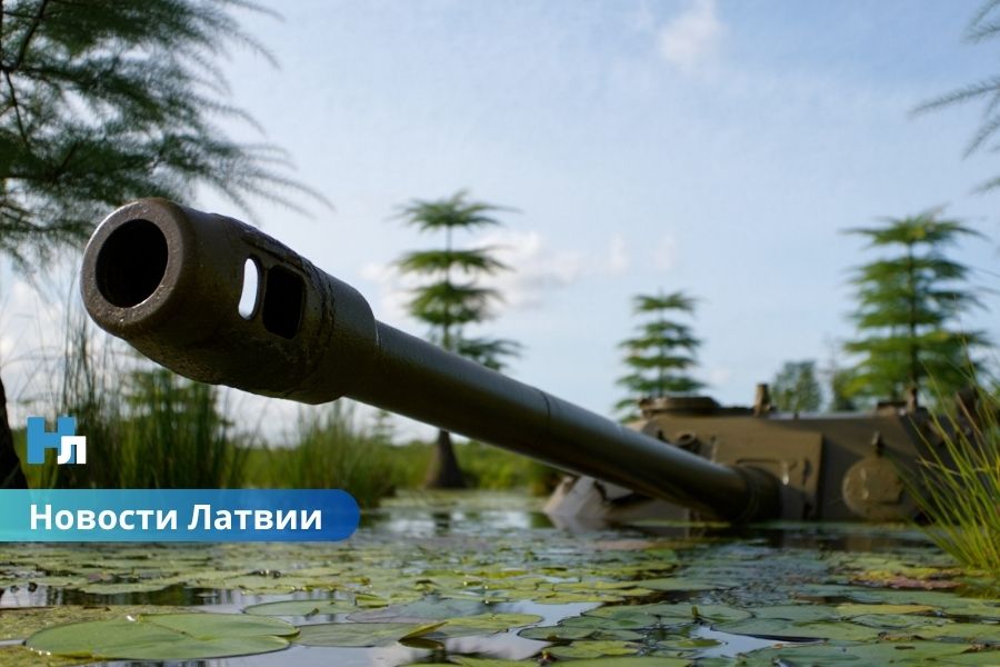 «Противнику не пройти»: Латвия и Литва восстанавливают болота как щит от угрозы с Востока.