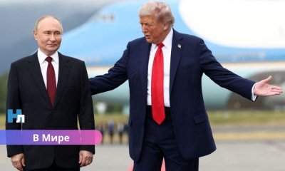 Путин и Трамп готовятся к новой встрече: СМИ сообщили о саммите - узнайте где.