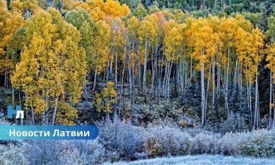 Синоптики бьют тревогу: в Латвии грядут заморозки и штормовой ветер – где ждать сильные дожди?