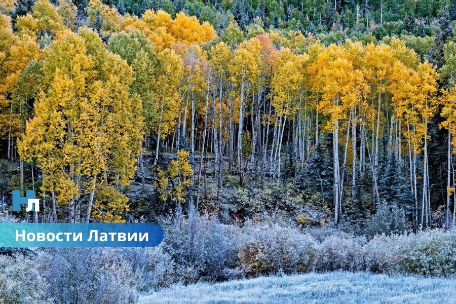 Синоптики бьют тревогу: в Латвии грядут заморозки и штормовой ветер – где ждать сильные дожди?