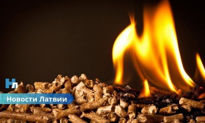 Какие цены будут на гранулы, брикеты и дрова? В этом сезоне многое зависит от погоды.