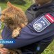 🐾 Полицейский спас кота, брошенного в реку с камнями в сумке.