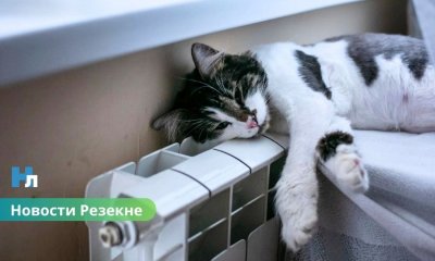 🏠 В Резекне с 6 октября начнётся поэтапное подключение отопления.