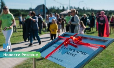 🌳 В Резекне появится «Парк деревьев счастья»: горожан приглашают принять участие в посадке.