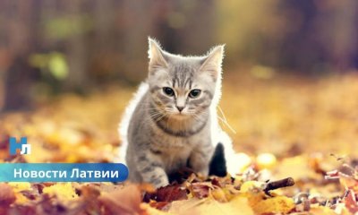 ☀️ В воскресенье Латвию ждет теплая и сухая погода – до +25 градусов.