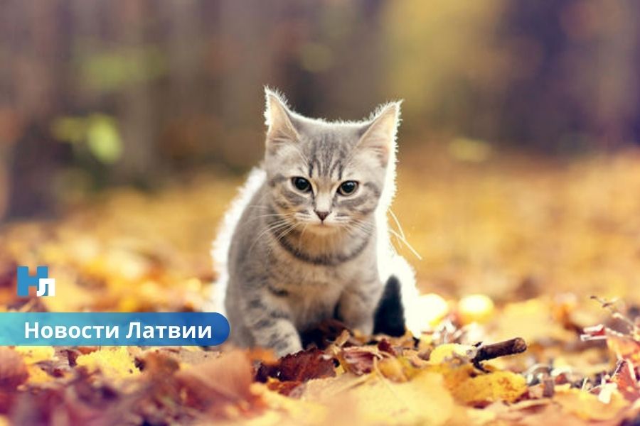 ☀️ В воскресенье Латвию ждет теплая и сухая погода – до +25 градусов.