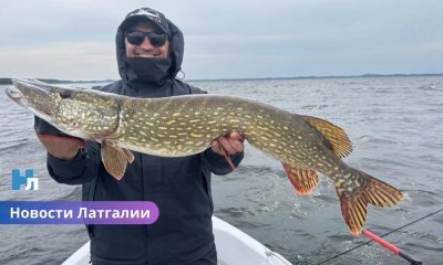 Рекордная щука в 1,04 м на озере Разна и сотни окуней: что поймали на чемпионате?