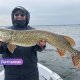 Рекордная щука в 1,04 м на озере Разна и сотни окуней: что поймали на чемпионате?