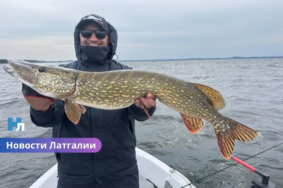 Рекордная щука в 1,04 м на озере Разна и сотни окуней: что поймали на чемпионате?