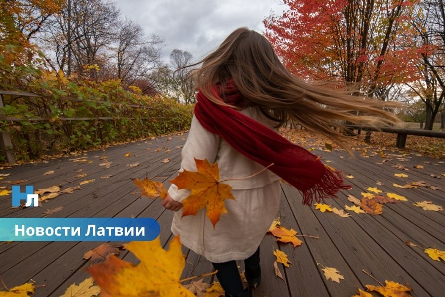 Первая суббота октября в Латвии будет ветреной: синоптики о погоде.