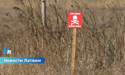 Балтия и Польша объединяются: планируется совместное производство мин для защиты границ.