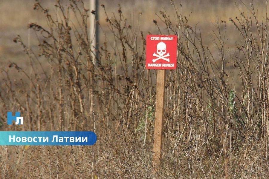 Балтия и Польша объединяются: планируется совместное производство мин для защиты границ.