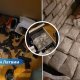 Оружие, наркотики и драгоценности на миллионы евро: в Риге задержан мужчина, связанный с международной сетью контрабандистов.