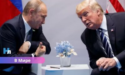 Дональд Трамп объявил о новой встрече с Владимиром Путиным: переговоры могут пройти в Будапеште.