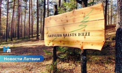 Секретное постановление правительства Латвии: кто нажился на решении о снижении цен на древесину?