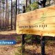 Секретное постановление правительства Латвии: кто нажился на решении о снижении цен на древесину?