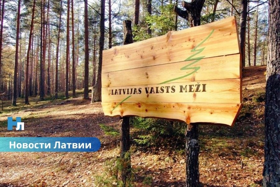 Секретное постановление правительства Латвии: кто нажился на решении о снижении цен на древесину?